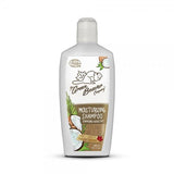 Coconut Moisturizing Shampoo - Camomile Beauty - Green Natural Cruelty-free Beauty Shop