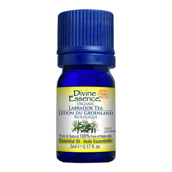 Divine Essence - Labrador Tea Organic