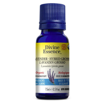 Divine Essence - Lavander - Hybrid Grosso (Organic)