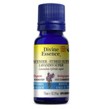 Divine Essence - Lavender Hybrid Super (Organic)