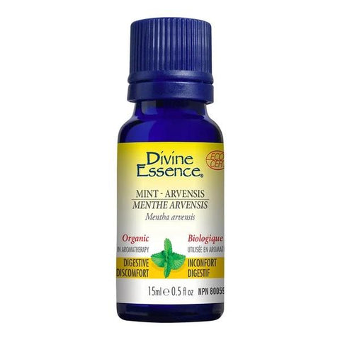 Divine Essence - Mint - Arvensis (Cornmint)  (Organic)