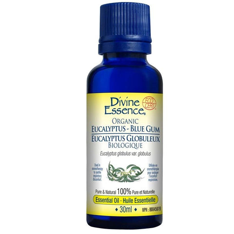 Divine Essence - Organic Eucalyptus - Blue Gum